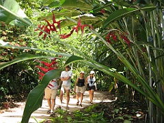 005 Jardin Botanique
